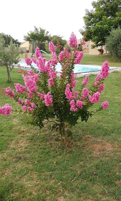 La Bastide De Lily Βίλα Séguret Εξωτερικό φωτογραφία